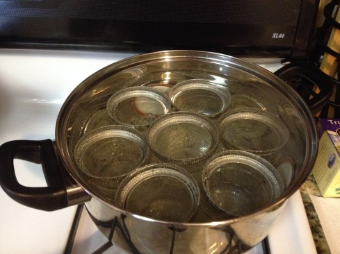 prepping the jars and lids by boiling them in water